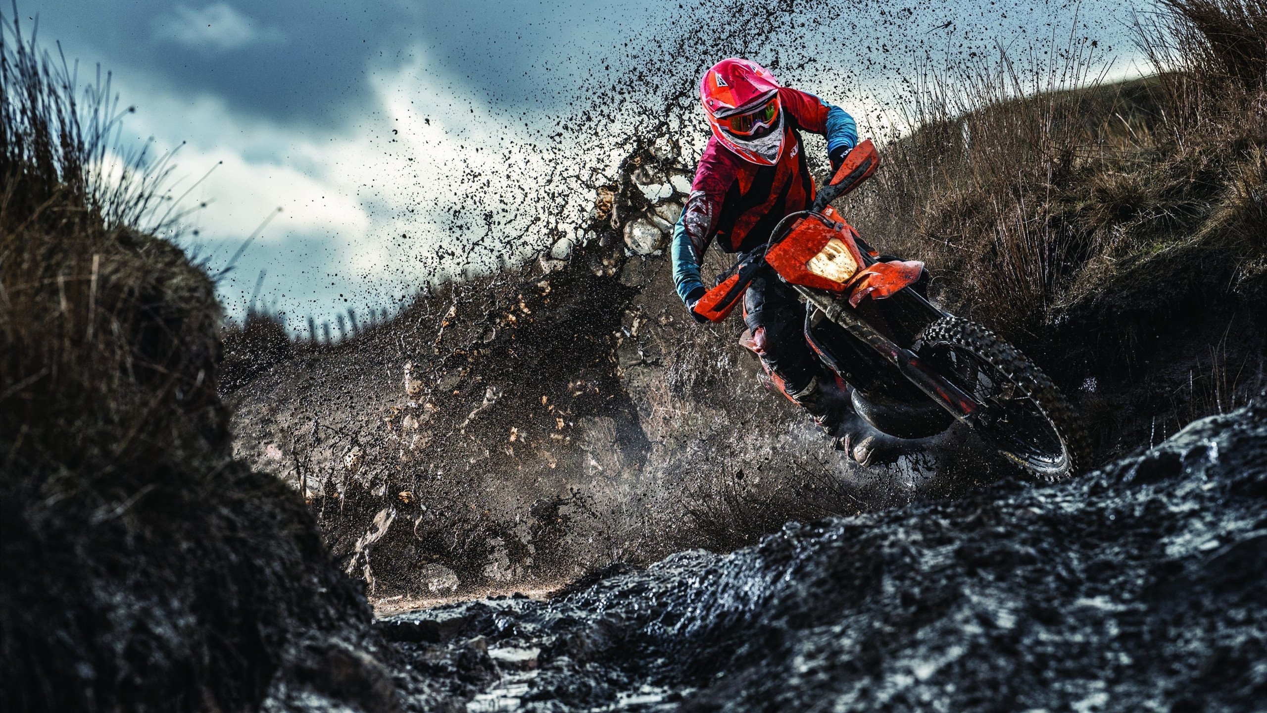 排名变动频繁，谁能稳坐“头把交椅”？